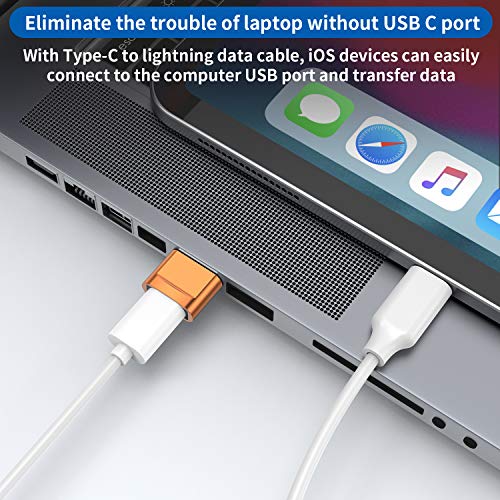 USB C Female to USB Male Adapter 4-Pack,Type C to USB A Charger Cable Adapter