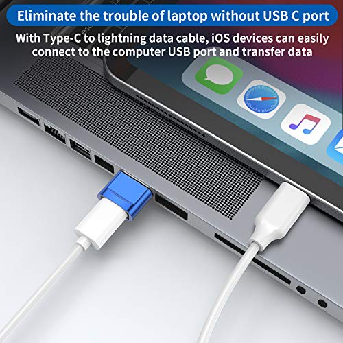 USB C Female to USB Male Adapter 4-Pack,Type C to USB A Charger Cable Adapter